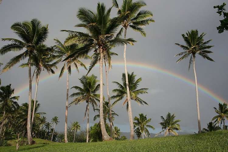 Onyx Island Fiji Vanua Levu_18