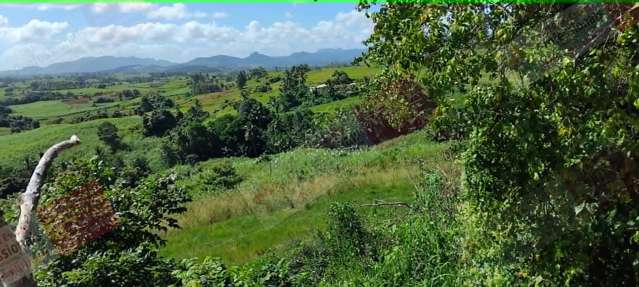 Expansive Rural Land Opportunity – Farm, Invest & Create Your Future in Fiji