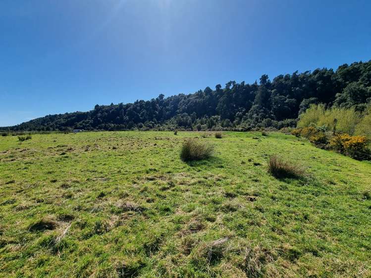Blue Spur Road Hokitika_8