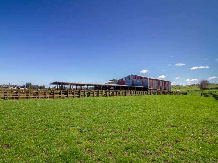 438 Omahina Road Waverley_6