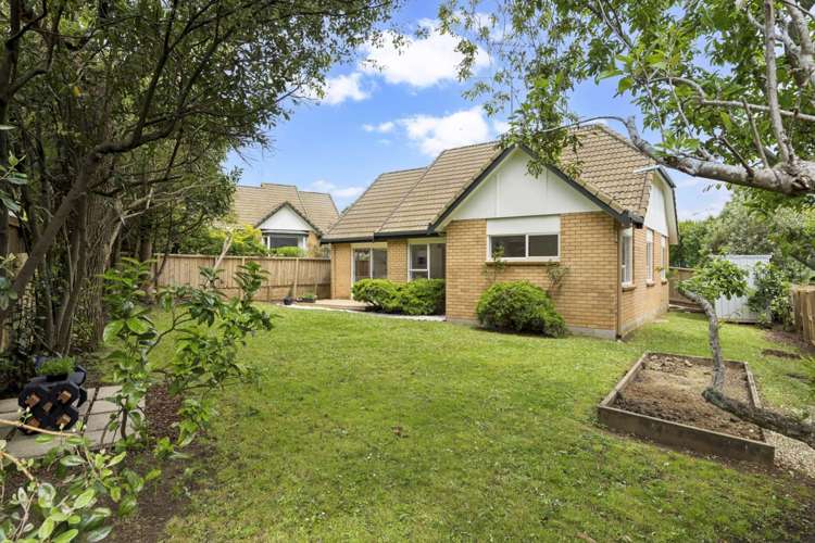 2/55 Moore Street Howick_4