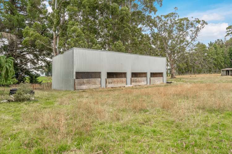 453 Wilden School Road West Otago Surrounds_15