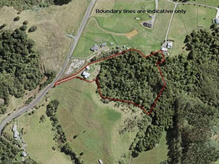 418 Peach Hill Road Ramarama_17