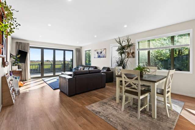41A Te Awa Avenue Te Awa_2