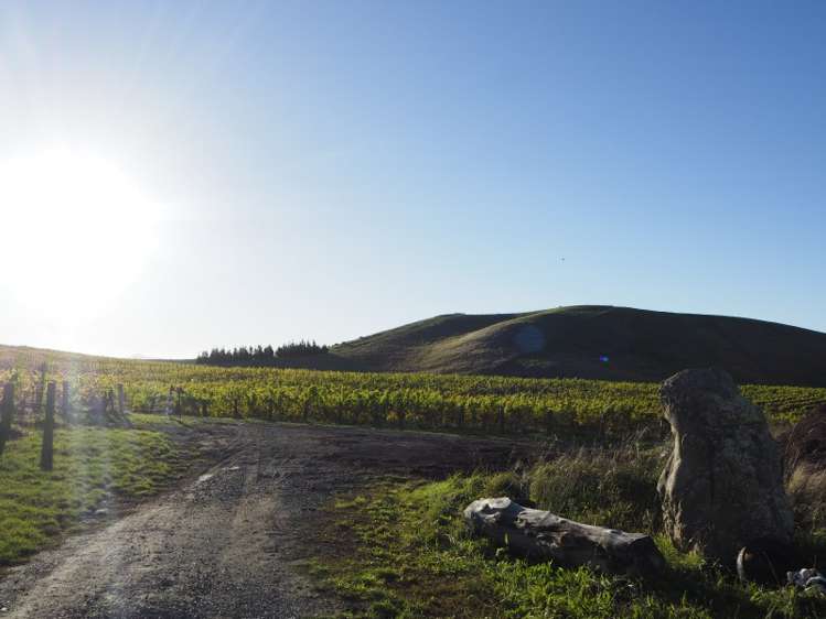 149 Wrekin Road Fairhall_14