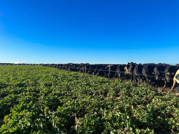 91 King Road Waianiwa_17