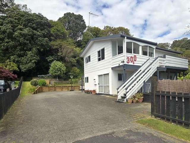 300A Ngati Maru Highway Thames_1