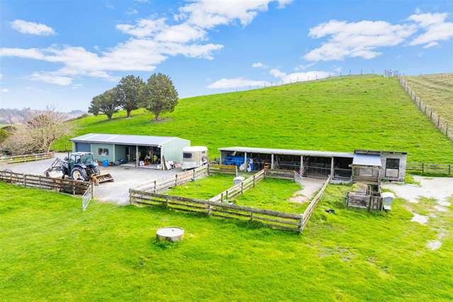 198 J V Grant Road Wellsford_1