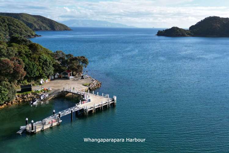 665 & 667 Whangaparapara Road Great Barrier Island_6