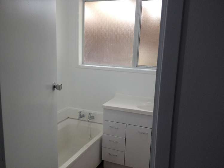 20 Leo Street Glen Eden_13