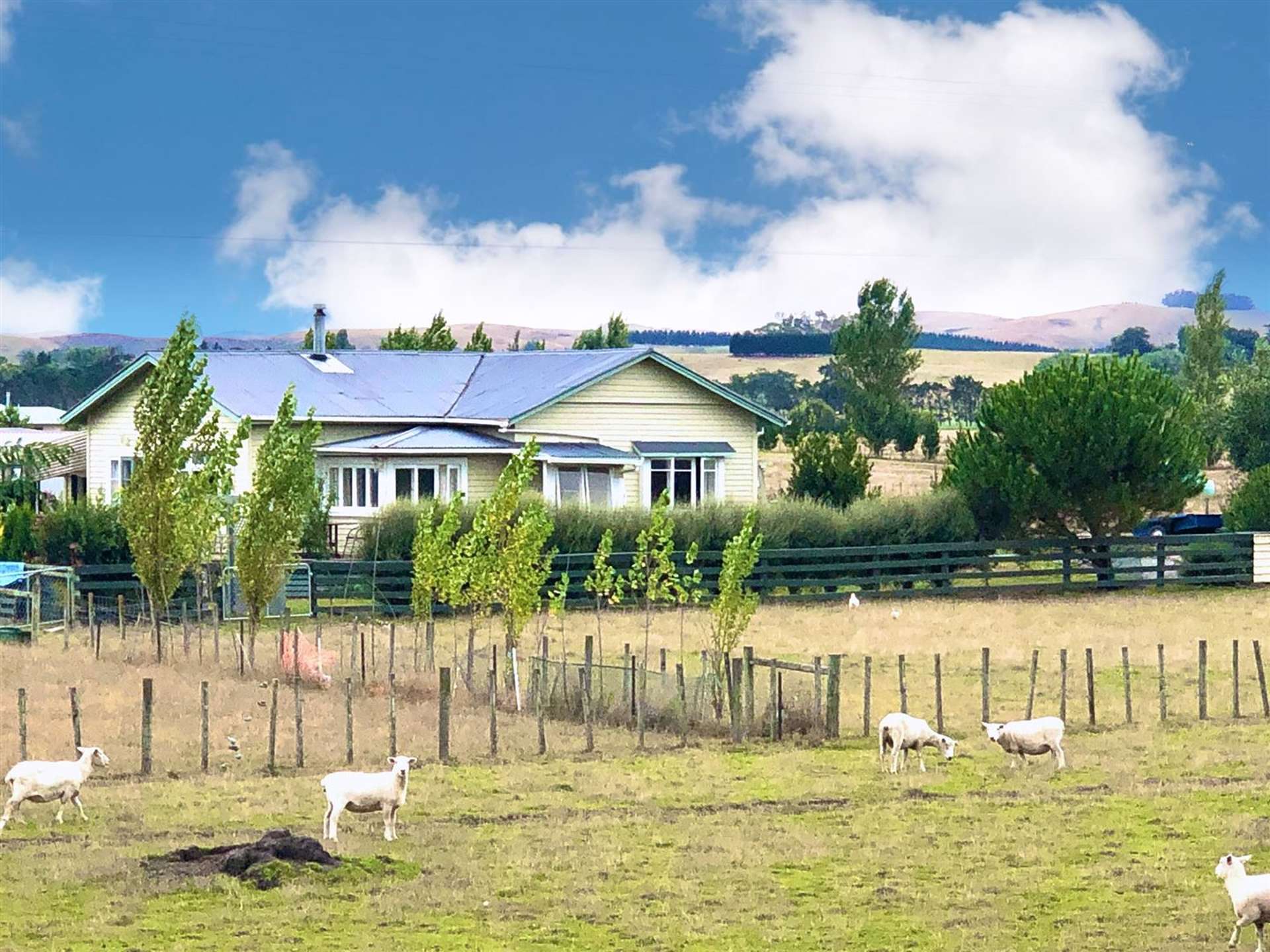 471 Porangahau Road Waipukurau and Surrounds_0