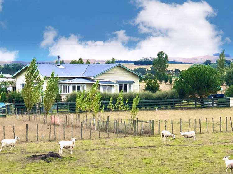 471 Porangahau Road Waipukurau and Surrounds_0