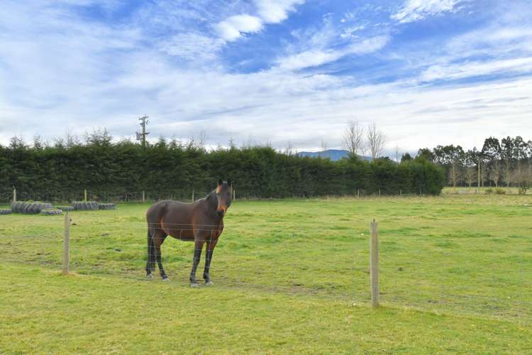 84 Reids Road Cust_22