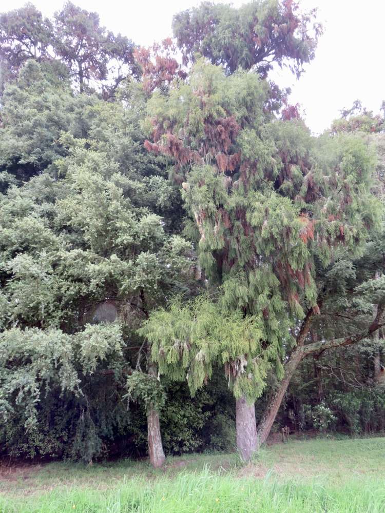 504b Wairere Road Maungaturoto_13