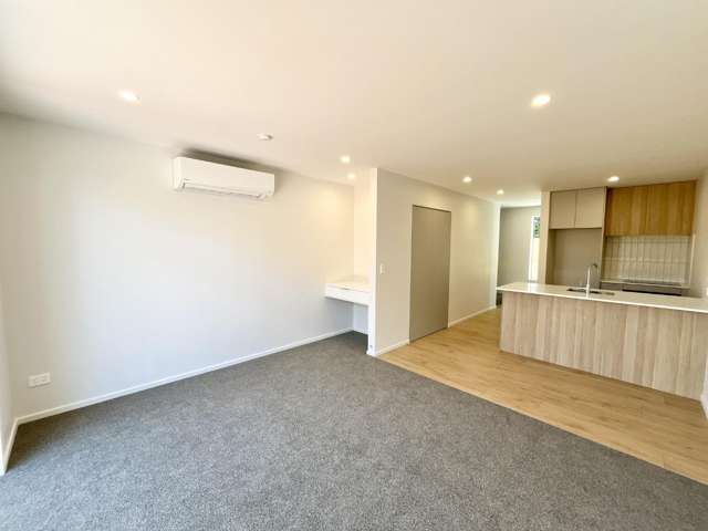 3/9 Winsor Crescent Spreydon_3