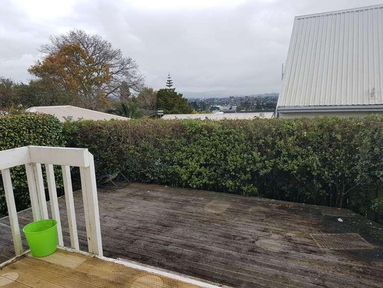 3/14 Chalmers Street 10016_8