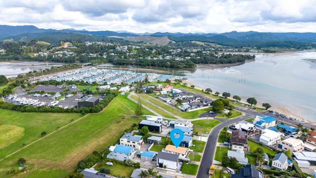 Whangamata Harbour Life