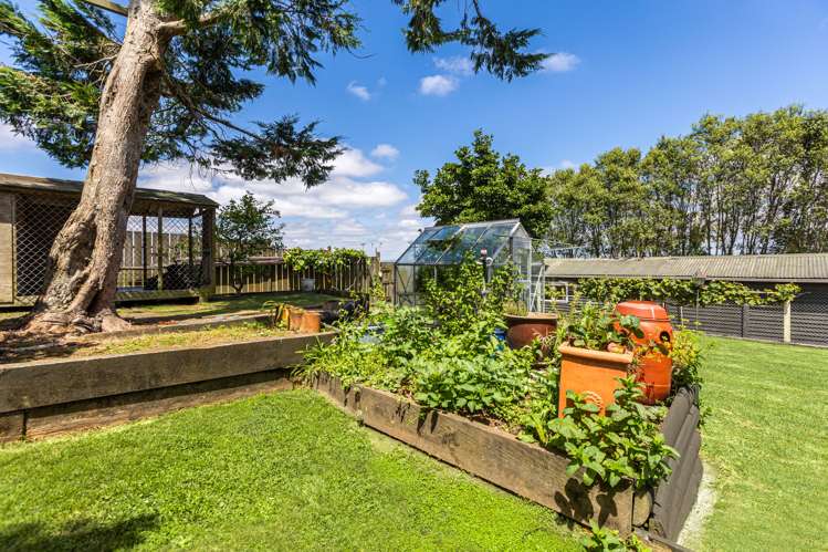 44 Paparata Road Bombay_21