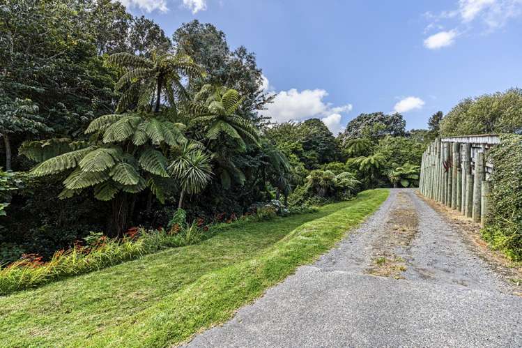 53 Pitcairn Street Oakura_20