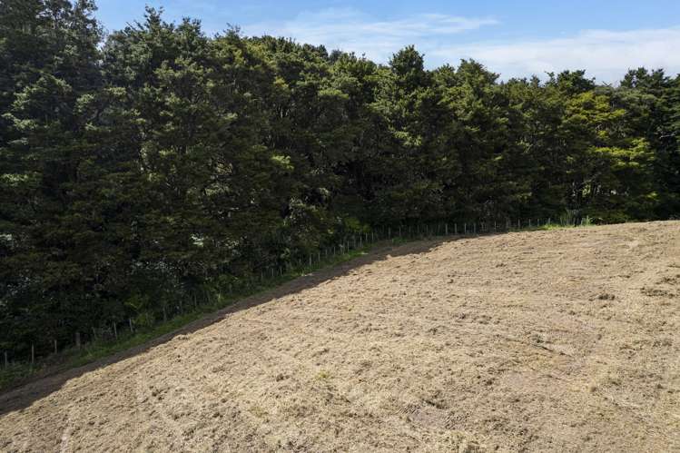 45 Kiwi Lane Kaiwaka_5