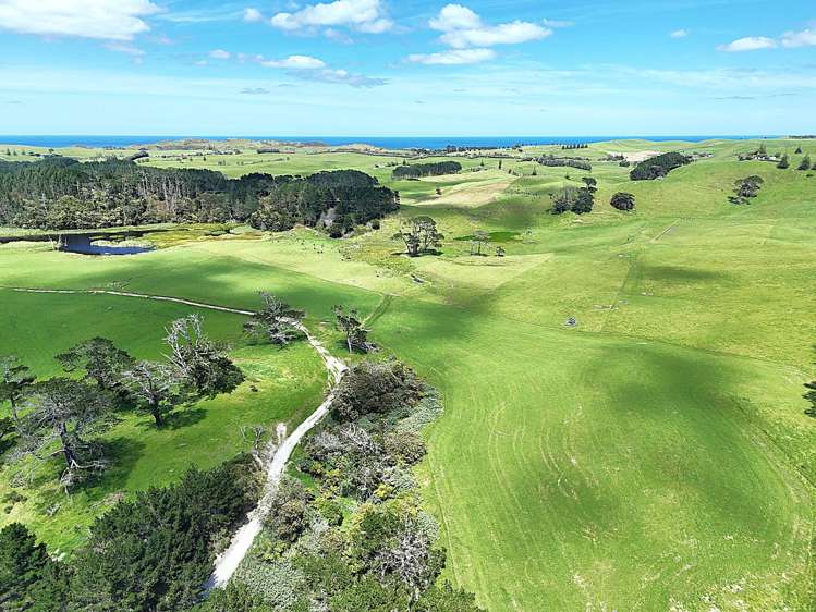 454 West Coast Road Te Kopuru_25