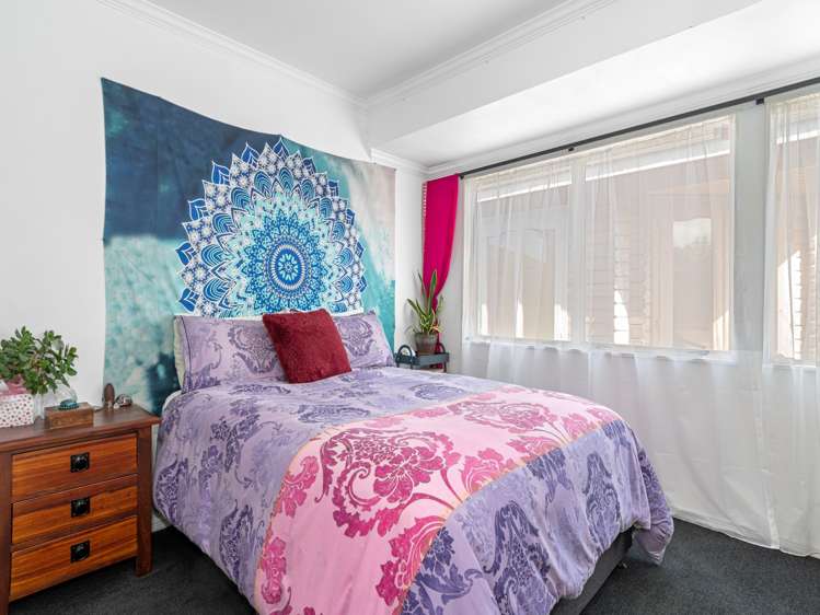 5b Hibiscus Avenue Mount Maunganui_9