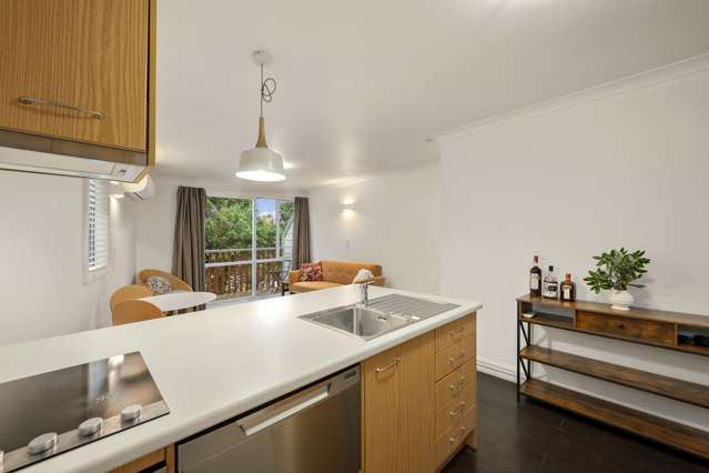 13C Lawrence Street Newtown_3