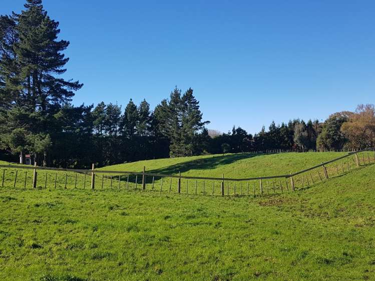 25 Wenlock Street Waihi_6