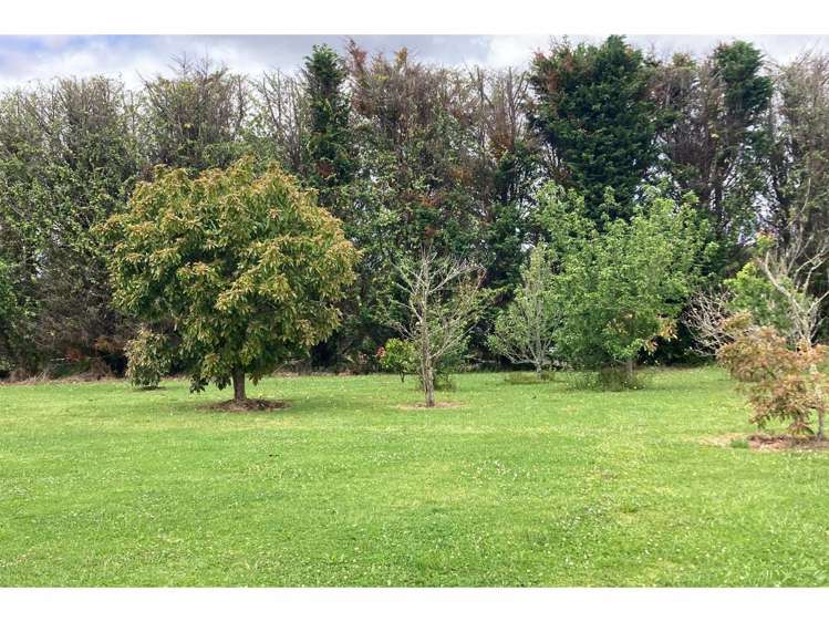 147B Stanners Road Kerikeri_23