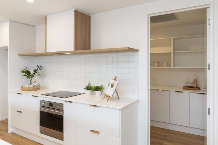 66 Whitehorn Drive Lincoln_6