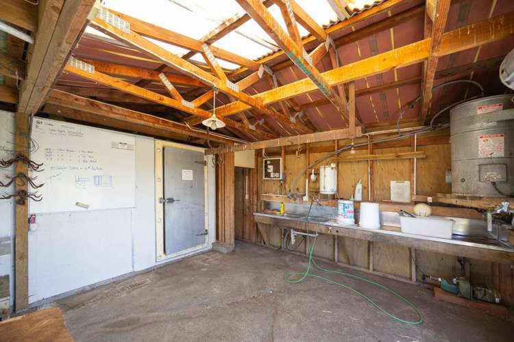 590 Brandon Hall Road Bulls_22