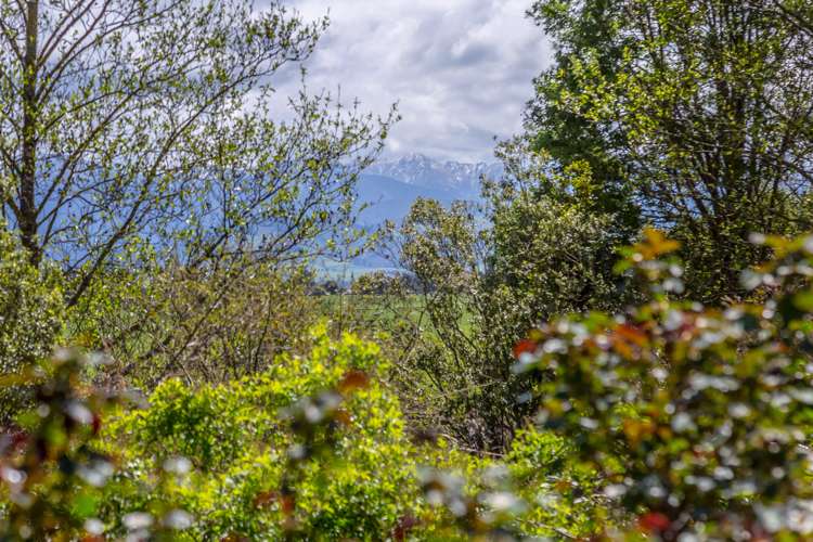 732 Carters Line Carterton_5