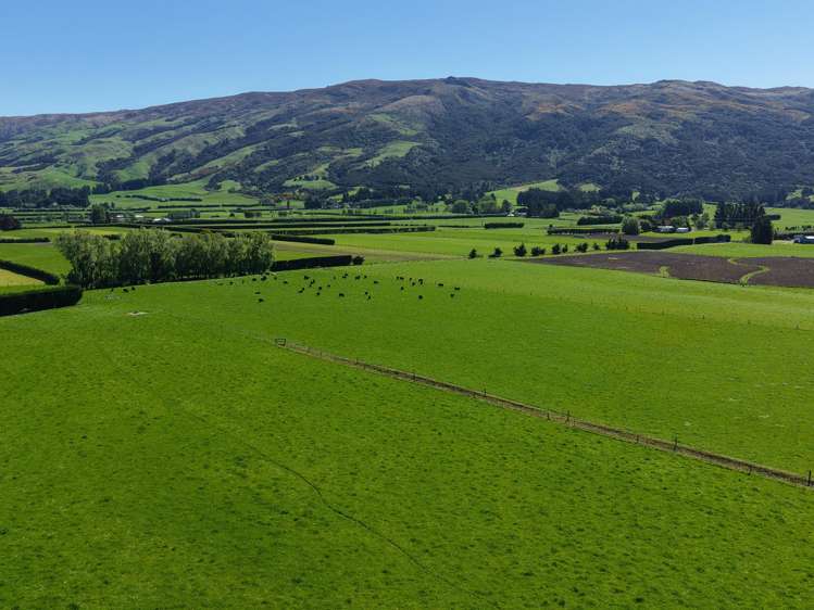 35 Maungatua Road Taieri Plain_8