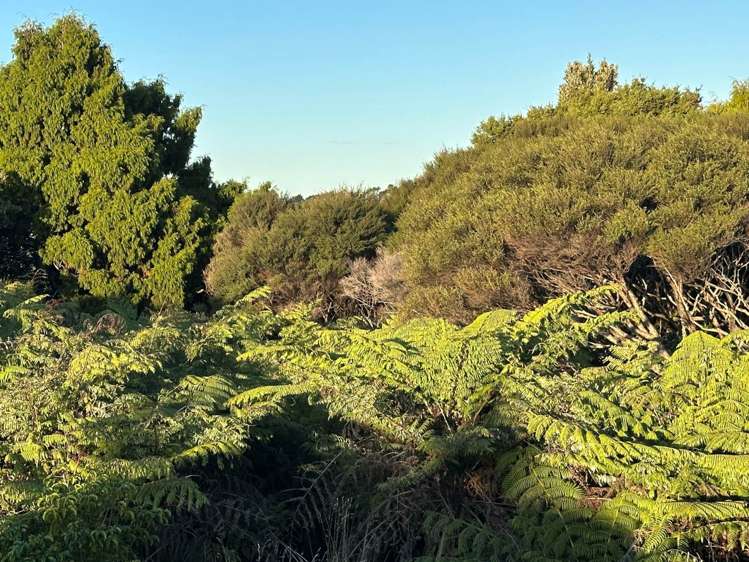 402c Awhitu Central Road Awhitu_18