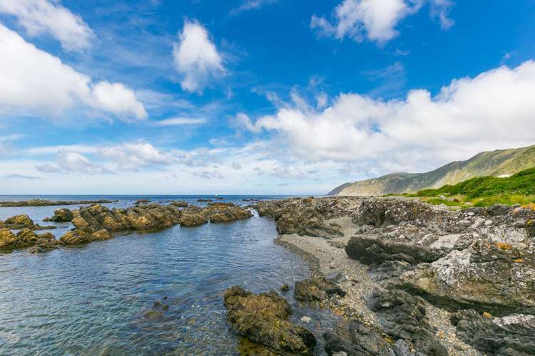 146 Owhiro Bay Parade Owhiro Bay_15