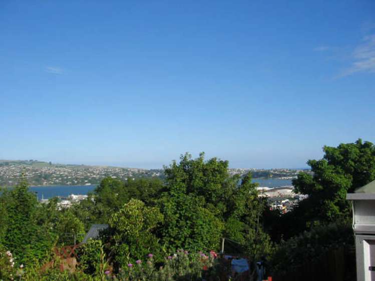 1/67 Canongate Dunedin Central_18