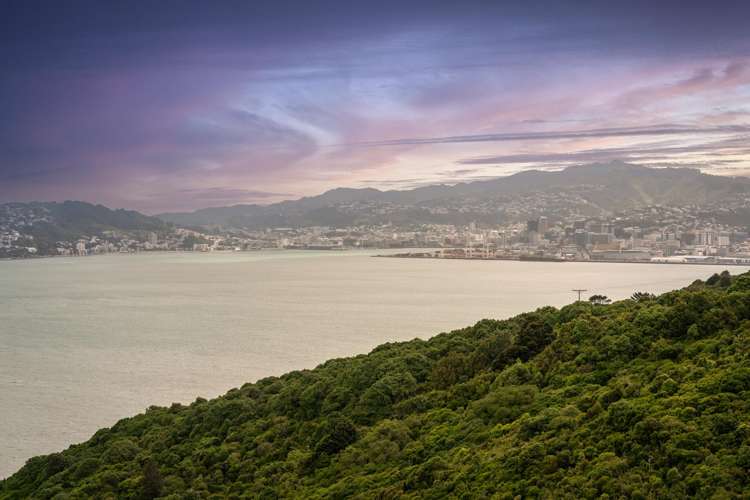 39 Dungarvan Road Newlands_18