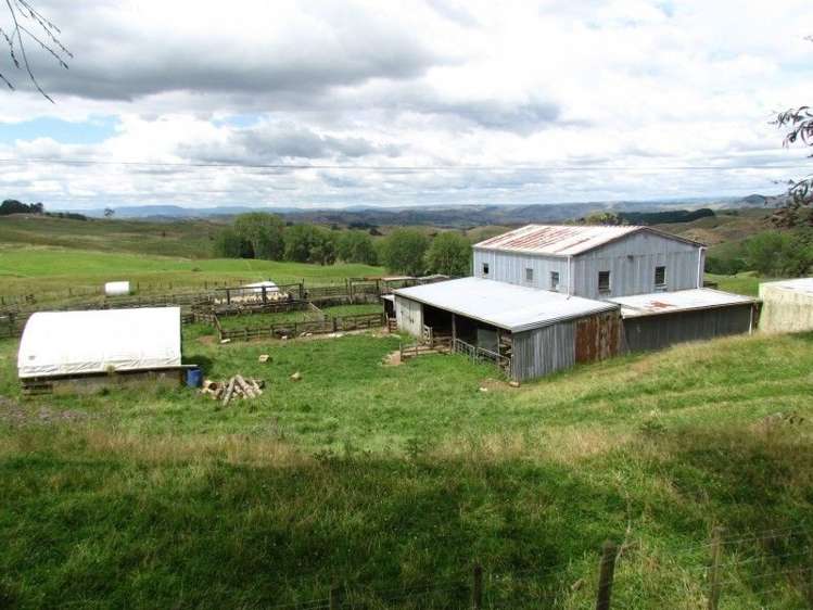 531 Boddie Road Te Kuiti_0