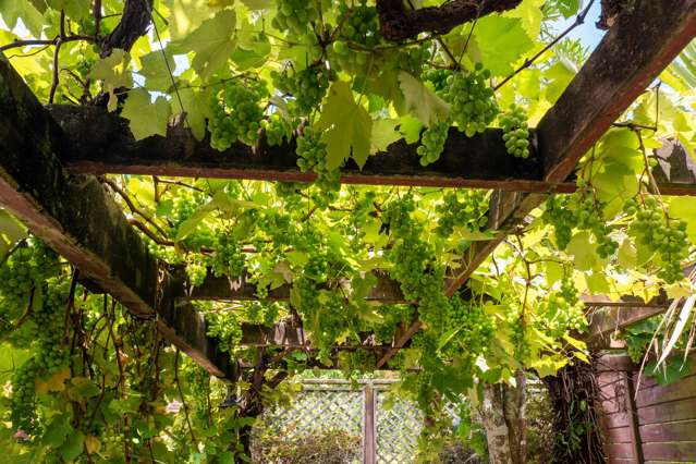 17 Acacia Road Lake Okareka_3