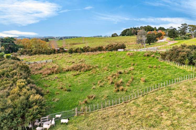 161 Ranganui Road Kaiwaka_47