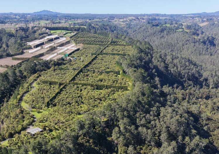 232C Williams Road North Pyes Pa_15