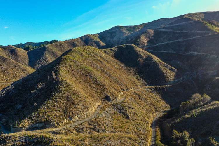 Waihopai Valley Road Waihopai Valley_5