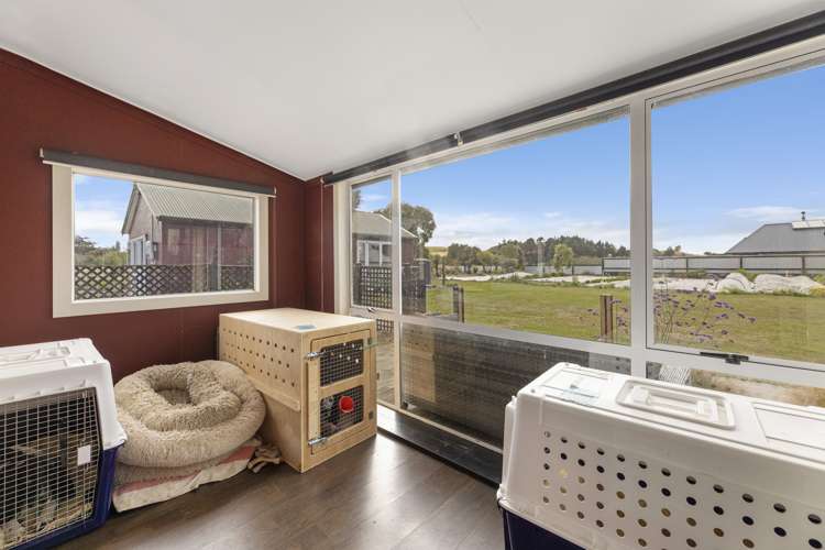 66 London Street Hampden_12