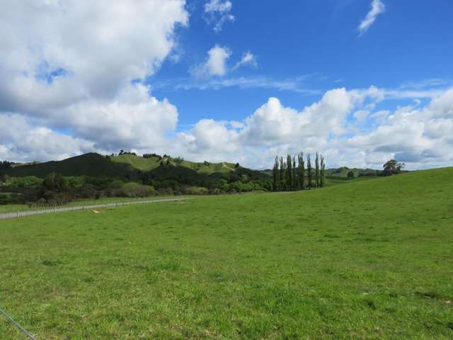 17 Riley Place Owhango_3