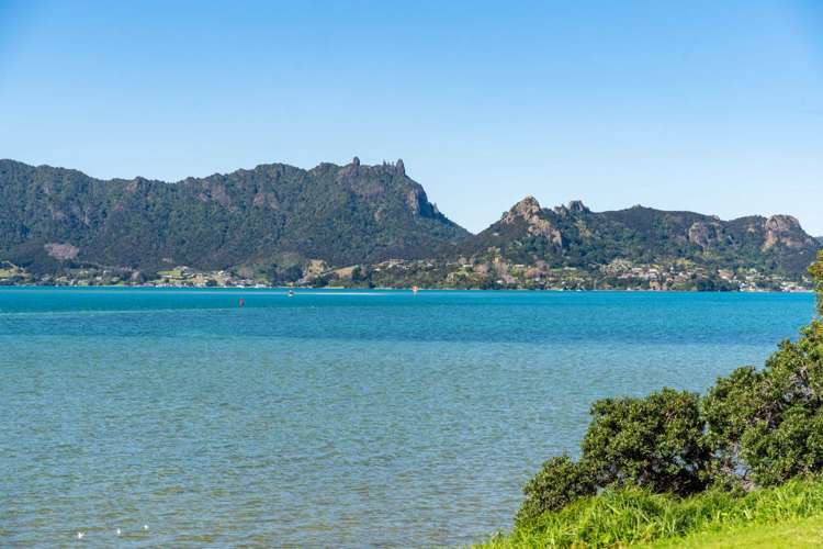 247 One Tree Point Road One Tree Point_24