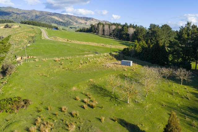 No 1 Line Pohangina_1