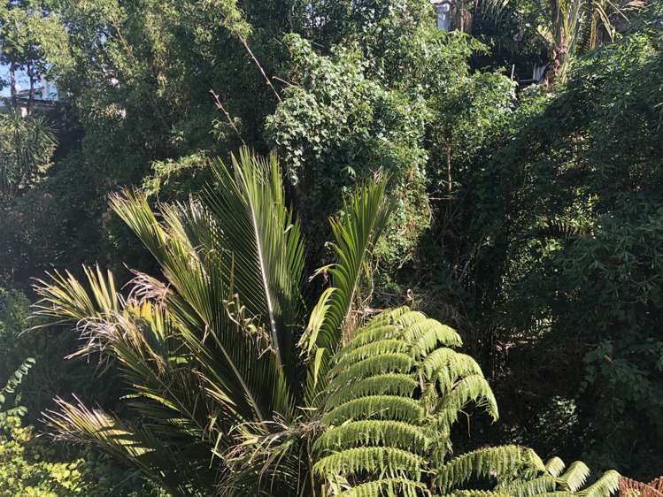 29h Saint Stephens Avenue Parnell_14