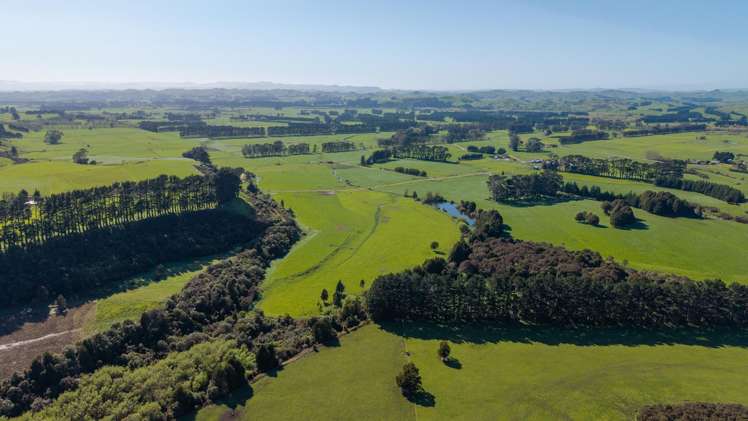 886 Kakariki Road Eketahuna_10