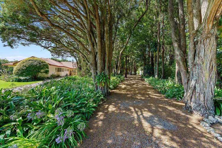 423 Otaki Gorge Road Te Horo_9