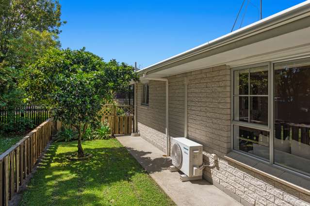 171a King Street Whakatane_2